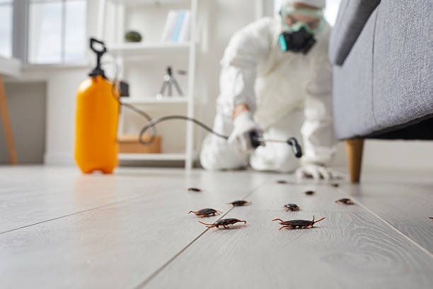 Commercial Kitchen Cockroach Control in Fiskdale